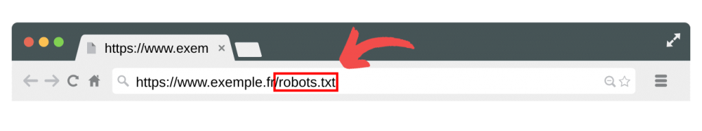  Fichier robots.txt à la racine du site web 